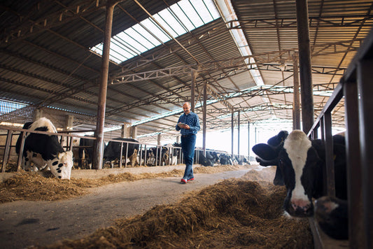 Feuchtesensoren für Tierhaltung und Agrar