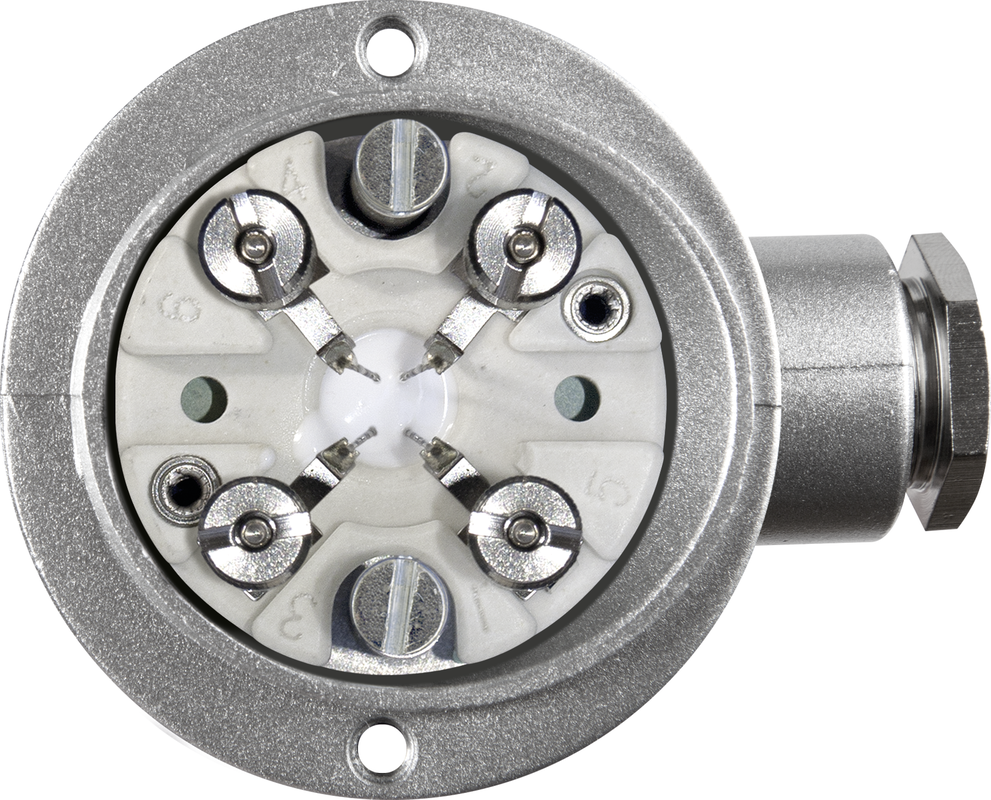 THERMASGARD® RGTF2 Pt100 250/80mm KV